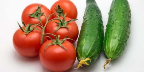 Da li je moguće saditi krastavce nakon paradajza